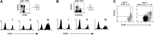 Fig. 4. KLRG1+ T cells lack proliferative capacity. / (A) The indicated 3 CD8 T-cell populations from PBLs of a healthy adult donor were isolated by cell sorting, according to their expression of KLRG1 and CD28. Afterward, cells were labeled with CFSE and were stimulated with PHA/IL-2 in the presence of unlabeled autologous feeder cells. Cell division was analyzed by flow cytometry after 4 days. Histograms display CFSE profiles of the populations indicated. The left peak in each histogram represents unlabeled autologous feeder cells. (B) The indicated 3 CD4 T-cell populations from PBLs were isolated by cell sorting according to their expression of KLRG1 and CD45RA. Afterward, CFSE-labeled cells were stimulated with PHA/IL-2 in the presence of unlabeled autologous feeder cells, and cell division was analyzed after 5 days. The left peak in each histogram represents unlabeled autologous feeder cells. (C) Total PBLs were labeled with CFSE and were stimulated with PHA and the indicated cytokines in vitro. Three and 5 days later, cultures were stained with mAbs to CD8 and KLRG1. Dot plots shown are gated on CD8 T cells.