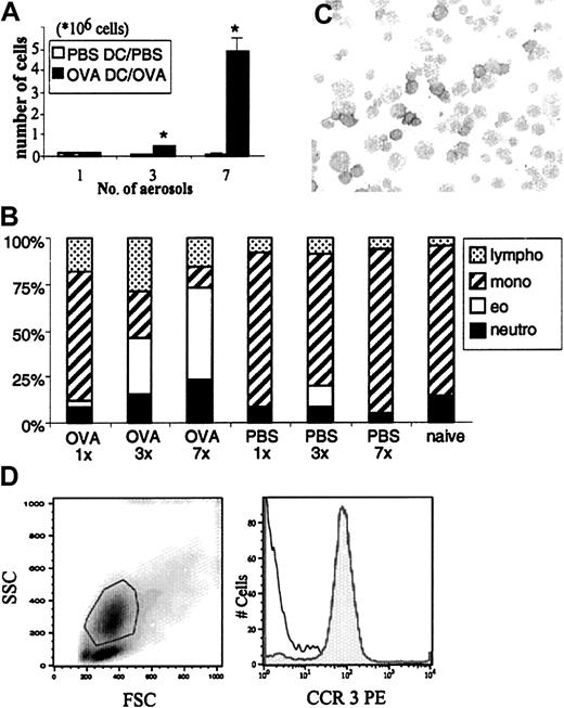 Fig. 1. Effect of OVA or PBS aerosol challenge on cellular composition of BALF. / Mice were immunized on day 0 with 1 × 106 OVA-DCs or PBS-DCs. From day 10 they were challenged daily for 30 minutes on 1, 3, or 7 consecutive days with OVA or PBS aerosols. (A) Total recovery of BALF cells as a marker of airway inflammation in response to aerosol exposures (*P < .05 compared with PBS-DC/PBS). Data are expressed as mean number of cells ± SEM. (B) Differential analysis of BALF cellular content based on flow cytometric analysis. The BALF composition of naive mice is included for reference. (C) Staining of BALF cytospin preparation with an Ab specific for murine MBP, identifying eosinophils in an OVA-DC immunized animal exposed 7 times to OVA aerosol. Isotype control Ab gave negative results (not shown). Original magnification, × 400. (D) Cells expressing high granularity on SSC signal (see gate) express the CCR3 receptor (filled histogram), identifying them as eosinophils. Isotype control is indicated by the open histogram.