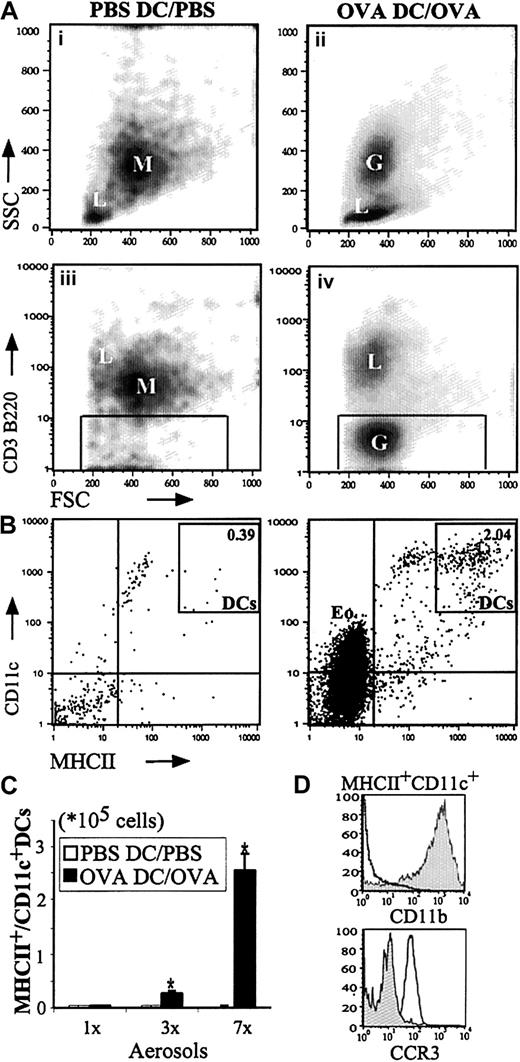 Fig. 2. Effect of OVA or PBS aerosol challenge on the number of DCs in the BALF. / Mice were immunized on day 0 with 1 × 106 OVA-DCs or PBS-DCs. From day 10 they were challenged daily for 30 minutes on 1, 3, or 7 consecutive days with OVA or PBS aerosols. (A) In OVA-DC/OVA mice (ii and iv), the FSC/SSC plot contains lymphoid cells (L), and granulocytes (G). In contrast, in PBS-DC/PBS mice (i and iii) the majority of cells are large and spontaneously autofluorescent, representing alveolar macrophages (M). A gate was set (iii and iv) on low autofluorescent cells that lacked expression of CD3 and B220. (B) Within the set gate, MHCIIhi CD11chi cells represent DCs, whereas CD11cdim MHCII− cells represent eosinophils (Eo). In our experiments, eosinophils did not express MHCII molecules. The average percentage of MHCIIhiCD11chi DCs as a percentage of total cells analyzed is indicated in the plot. (C) Kinetics of increase of DCs following OVA exposure as expressed as the absolute number of MHCIIhiCD11chi cells within the BALF (n = 5 animals per group; *P < .05 compared with PBS-DC/PBS group). Data are expressed as mean number of MHCII+/CD11c+ DCs ± SEM. (D) Top panel: gated CD11c+ MHCII+ DCs are of myeloid lineage as revealed by strong staining for CD11b (filled histogram); isotype control is indicated by the open histogram. Bottom panel: gated MHCII+CD11c+ DCs (filled histogram) do not express the eosinophil marker CCR3, whereas gated CD11cdim granular eosinophils (open histogram) clearly do.