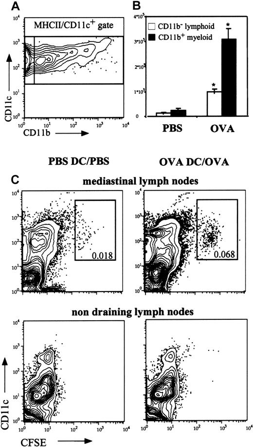 Fig. 8. Effect of OVA or PBS aerosol challenge on DC subsets within the draining mediastinal LN. / OVA-DC– or PBS-DC–immunized mice were challenged 3 times with either OVA or PBS aerosol. At 24 hours after the last challenge, mediastinal LN were collected, homogenized, and stained for the presence of MHCII+ CD11c+ DCs. (A) Within the MHCII+ population, CD11c+ cells were further characterized as CD11b+ myeloid and CD11b− lymphoid DCs. (B) In OVA-DC/OVA animals, there is an absolute and relative increase in both lymphoid and myeloid DCs compared with PBS-DC/PBS mice (*P < .05). Data are expressed as mean number of cells ± SEM of 1 experiment representative of multiple experiments. (C) To investigate whether the observed increase in DCs in the LN was caused by enhanced migration, BM DCs were labeled with CFSE, and 2 × 106 cells were injected intratracheally into mice without (PBS) or with (OVA) eosinophilic airway inflammation, and subsequently traced in the MLN and the inguinal nondraining LN. Injected DCs can be discriminated from endogenous DCs by CFSE positivity. Numbers represent the percentage of injected DCs of total cells in the LN.