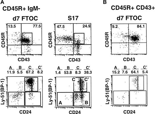 Fig. 2. Phenotype of CD45R+CD43+ pro–B cells following culture on S17 stromal cells or in FTOCs. / (A) 5 × 104 CD45R+sIgM− cells were seeded into FTOCs or onto S17 stroma. Cells were phenotyped 7 days later as described in Figure 1. (B) 2.5 × 104fluorescence-activated cell-sorter (FACS)–purified CD45R+CD43+ pro–B cells were seeded into FTOCs. Phenotypic analysis was performed on cells harvested from lobes 7 days after initiation of cultures. Data in the figures are representative of 3 experiments.