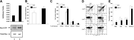 Fig. 1. Biochemical and functional analysis of WT and. / Nf1+/− thymocytes. (A) Ras activity of freshly isolated WT (lane 1) and Nf1+/−(lane 2) thymocytes. GTP-bound Ras levels were determined by incubating cell lysates with Raf-1 Ras binding domain (RBD) conjugated to agarose beads and by immunoblotting with an anti-Ras antibody. Immunoblots and quantitative densitometry for Ras-GTP levels and Western blots of total Ras are shown. (B) Thymic cellularity of WT andNf1+/− mice. Single cell suspensions from WT and Nf1+/− thymi were prepared and counted. Bars represent the absolute numbers of thymocytes (± SEM), n = 12 and * P < .0004. (C) T-cell subset distribution of WT and Nf1+/− thymi. Bars represent the absolute numbers of indicated T-cell subsets (± SEM), n = 12 and * P < .004. (D) Immunocytometric analysis of thymocytes from WT and Nf1+/− mice. Thymocytes from WT andNf1+/− mice were stained with fluorochrome-conjugated antibodies directed against the indicated cell surface proteins and analyzed by flow cytometry. Data are representative of 5 independent experiments. (E) Altered proliferation of Nf1+/− thymocytes. Thymocytes (105/well) were isolated and activated with plate-bound anti-CD3 mAb, IL-2, or anti-CD3 mAb plus IL-2. Proliferation was measured by a thymidine incorporation assay. Bars denote the mean thymidine incorporation (cpm ± SEM) of a representative experiment performed in replicates of 6. * P < .01Nf1+/− versus WT. ** P < .01Nf1+/− versus WT.