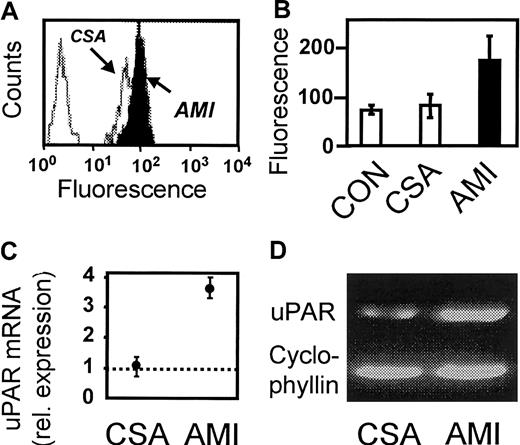 Fig. 1. Expression of uPAR on monocytes in AMI. / (A) Representative flow cytometric histograms showing uPAR expression (mAb R4) in one patient with AMI and one with CSA. The far left peak represents the nonspecific control mAb. (B) Flow cytometric analysis of healthy controls (CON) and patients with CSA or AMI (n = 20 in each group). Values shown are the mean immunofluorescence ± SD. (C) Relative uPAR mRNA expression in MNCs isolated from 3 patients with CSA or AMI. Values shown are the means; error bars indicate range in relation to healthy controls (dotted line). (D) Expression of uPAR mRNA in monocytic MonoMac6 cells incubated with pooled plasma from patients with CSA or AMI. One experiment representative of 3 is shown.