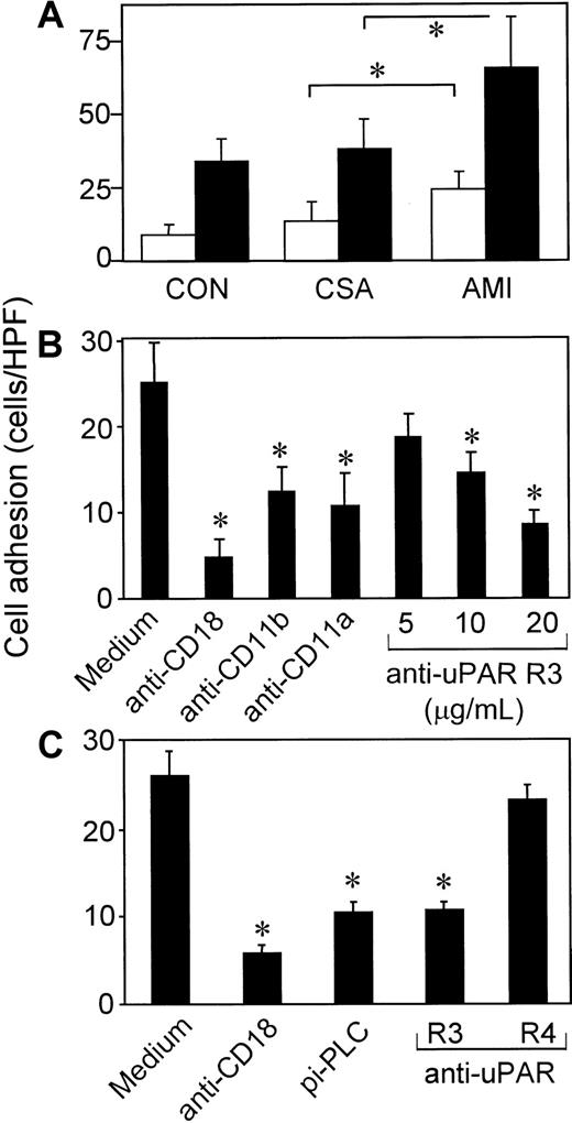 Fig. 4. The uPAR-dependent cell adhesion to endothelial cells in AMI. / (A) MNCs from patients with AMI (n = 16) or CSA (n = 16) or from healthy volunteers (CON; n = 16) were pretreated with medium (white bars) or 10 ng/mL PMA (black bars) for 30 minutes at 37°C and washed, and adhesion to HUVEC monolayers was performed. Values shown are the means ± SEM from 16 independent experiments performed in triplicate. (B) Adhesion of MNCs from patients with AMI to HUVEC monolayers in the presence or absence of mAbs anti-CD18 (IB4; 20 μg/mL), anti-CD11b (CBRM1/5; 50 μg/mL), anti-CD11a (L15; 20 μg/mL), or different concentrations of anti-uPAR R3. Values shown are the means ± SEM from 3 experiments performed in triplicate. (C) MNCs from patients with AMI were pretreated with medium or pi-PLC (0.5 U/mL; 90 minutes) and washed. Adhesion to HUVEC monolayers was performed in the absence or presence of 20 μg/mL mAb anti-CD18 (IB4), anti-uPAR (R3), or anti-uPAR (R4). Values shown are the means ± SEM from 3 experiments performed in triplicate. The asterisks indicateP < .05.