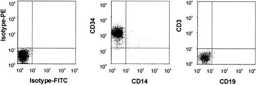 Fig. 1. Surface marker analysis of purified human CD34+ HSCs. / FACS analysis was done after staining cells with FITC-labeled (x-axis) and PE-labeled (y-axis) monoclonal antibodies.