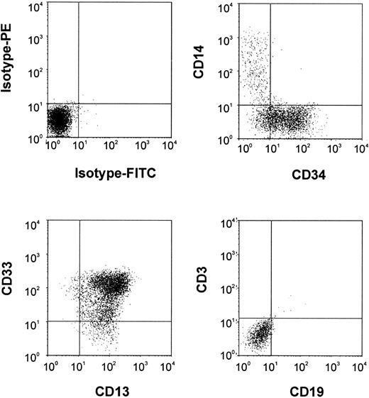 Fig. 3. Surface marker analysis of partially differentiated 5d-HSCs. / FACS analysis was done after cells were stained with FITC-labeled (x-axis) and PE-labeled (y-axis) monoclonal antibodies.