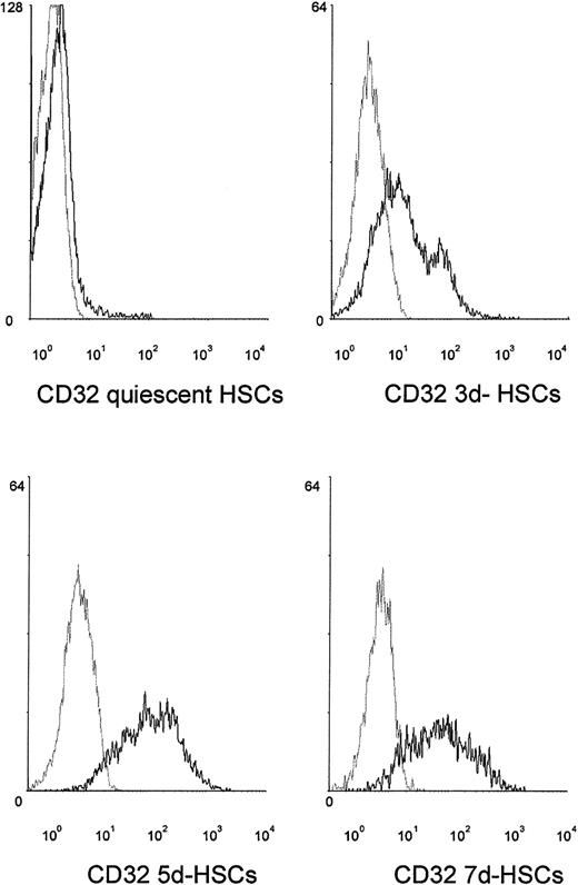Fig. 8. Flow cytometry of surface marker expression of FcγII receptor (CD32) on differentiating HSCs. / Black histograms represent expression of FcγII receptor (CD32). The x-axis of each histogram shows the log fluorescence intensity; the y-axis shows the relative cell number. Gray histograms represent staining with isotype-matched antibodies.