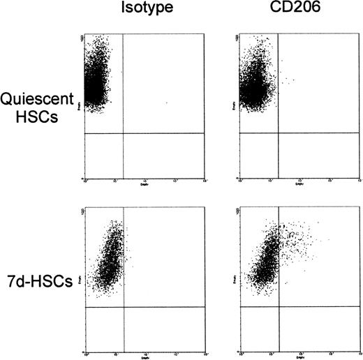 Fig. 9. Expression of the macrophage mannose receptor CD206 on human HSCs. / The x-axis of dot plot shows the fluorescence intensity in a logarithmic scale. Forward scatter is on the y-axis.