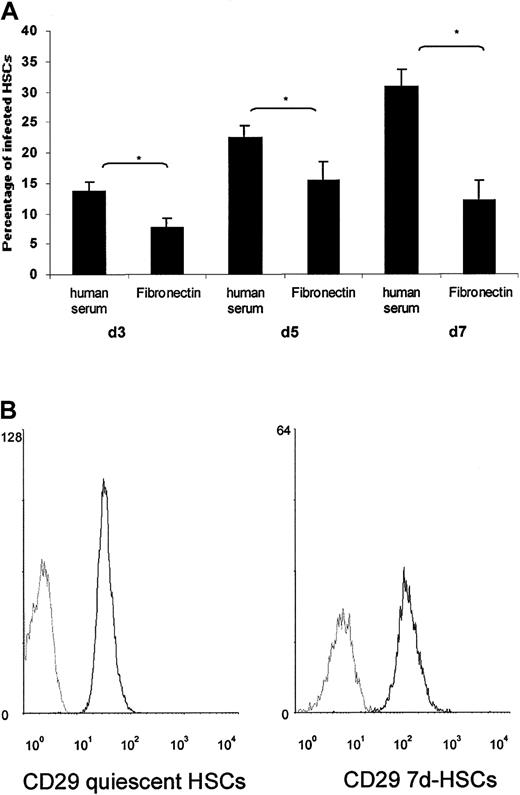 Fig. 10. Influence of β1-integrin receptor expression for the uptake of. / Y enterocolitica by HSCs. (A) Comparison of the uptake of Y enterocolitica into 3d-, 5d-, and 7d-HSCs in the absence and presence of human fibronectin (*P < .05, t test). The results from a representative experiment are presented as mean values and SDs (error bars). (B) Flow cytometry of surface marker expression of β1-integrin CD29 on quiescent and 7d-HSCs (black histograms). The x-axis of each histogram shows the log fluorescence intensity; the y-axis shows the relative cell number. Gray histograms represent staining with isotype-matched antibodies.