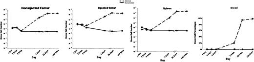 Fig. 5. Proliferation profiles of donor cells in ablated and nonablated mice. / After injection of 5 × 105 Lin− Ly5.1 cells into the right femur, cells were collected from the injected femur, noninjected femur, spleen, and peripheral blood and were subjected to FACS analysis to determine the donor cell percentages. Two experiments were performed, with 5 to 8 mice per group. From 1 to 3 days, donor cells were identified by PKH26 labeling and antibody staining. After 3 days, donor cells were identified by PE-conjugated anti-Ly5.1 antibody. Donor cells rapidly proliferated in BM and spleen of ablated mice but did not proliferate in nonablated mice. The peripheral blood donor cell percentages also reflected this rapid proliferation of donor cells in ablated mice.