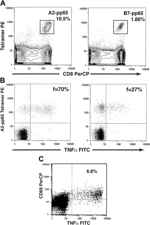 Fig. 1. Quantitative and functional assessment of CMV-specific T-cell responses. / (A) Quantitative assessment of CMV-specific CD8+ T cells using HLA-peptide tetramers. HLA class I–peptide tetramers and monoclonal antibodies specific for CD8 were used to determine the frequency of CMV-specific CD8+ T cells specific for peptides derived from CMV pp65. Representative examples of staining using the A2-pp65 tetramer (10.5% of CD8+ T cells, left) and the B7-pp65 tetramer (1.86% of CD8+ T cells, right) are illustrated. (B) The function of CMV-specific CD8+ T cells may be assessed via a combination of tetramer staining and cytokine flow cytometry. Peripheral blood mononuclear cells were stained first with HLA-pp65 tetramers and then stimulated with the antigenic HLA-restricted peptide derived from pp65. The fraction of tetramer-staining cells producing intracellular cytokines was then determined by flow cytometry using antibodies specific for intracellular TNF-α. Representative examples of this analysis are shown for 2 subjects, who had relatively higher (70%, left) or lower (27%, right) functional fractions of tetramer-staining cells. (C) The proportion of CD4+ T cells responding to the CMV pp65 protein was assessed using cytokine flow cytometry following stimulation with a mixture of 138 overlapping peptides spanning the entire pp65 protein. CMV-specific CD4+ T cells were determined by the fraction of cells that were CD69+ that also produced intracellular TNF-α following stimulation. A representative example is shown for an individual with 6.8% of CD4+ T cells specific for CMV pp65.
