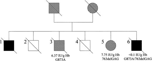 Fig. 2. The family with methemoglobinemia as reported by Barcroft et al.3. / Affected males are represented by black squares, male carriers by shaded squares, and female carriers by shaded circles. Three members of the family were available for the present study (#3, #5, and #6). Cytb5r activity and phenotype are indicated for each subject. The status of the remaining family members could not be established because they were deceased at the time of study.