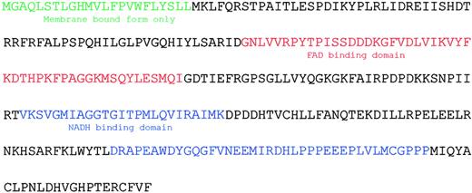Fig. 4. Predicted translation, demarcation of soluble and membrane forms, and location of secondary structure elements of cytb5r.