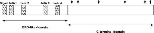 Fig. 1. Domain structure shows features unique to endogenous TPO. / The amino terminus (first 153 amino acids) of TPO contains 4 conserved cysteine residues and is 17% identical to erythropoietin (EPO; ∼50% identical if neutral substitutions are taken into account). It contains the entire receptor-binding region. The shaded boxes show the predicted α-helical regions of TPO. The carboxyl terminus (amino acids 154 to 332) of the molecule appears to be unique to TPO and contains theN-linked glycosylation sites indicated by solid arrows. Adapted from Foster and Hunt47 with permission.