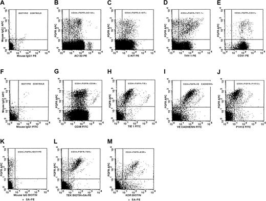 Fig. 2. Antigen expression on viable CD34+FGFR+ cells. / Isotypic control antibodies were used to indicate the specificity of staining of cells stained with (A) CD34-FITC, (F) CD34-PE, and (K) biotinylated antibody plus streptavidin-PE. CD34+FGFR+ cells express the following antigens: (B) AC133, (C) c-kit, (D) Thy-1, (E) CD31, (G) CD38, (H) Tie, (I) VE-cadherin, (J) P1H12, (L) Tek, and (M) KDR. All graphs except panel M were obtained from the analysis of cells from the same mobilized peripheral blood sample and are representative of at least 4 separate experiments. KDR results (M) are representative of 3 experiments.