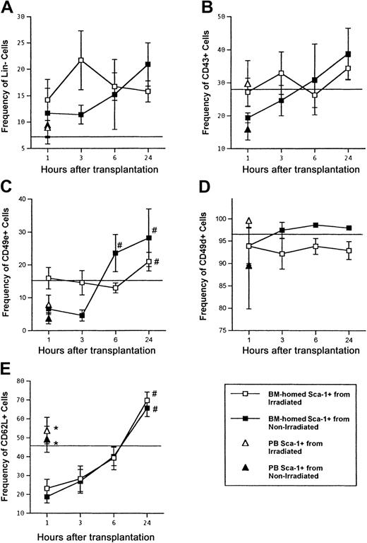 Fig. 3. Frequency of lineage-negative, CD43+, CD49e+, CD49d+, and CD62L+ cells among donor Sca-1+ cells in BM and PB at 1, 3, 6, and 20 to 24 hours following transplantation in irradiated or nonirradiated recipients. / Irradiated or nonirradiated mice received 17-90 × 106LDBM cells, killed at the indicated time points, and donor Sca-1+ cells in BM and PB analyzed for lineage expression (A), expression of CD43 (B), CD49e (C), CD49d (D), and CD62L (E) by flow cytometry as described in “Materials and methods.” PB samples were only analyzed at 1 hour because of infrequency of donor cells at later time points. Data are expressed as the mean ± SEM percent of donor Sca-1+ cells that have light scatter properties characteristic of primitive hematopoietic cells and that express each adhesion molecule. Horizontal lines on each graph represent the mean percent of Sca-1+ cells in the original graft that express each adhesion molecule. For each time point, n = 6-11 for irradiated BM, n = 3-5 for nonirradiated BM, n = 3-7 for PB, and n = 4-7 for graft cells. #P < .05 when compared with earlier time points of same transplant group, *P < .05 when compared with 1-hour BM values.