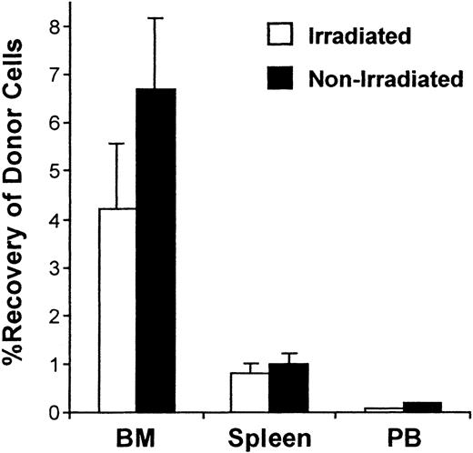 Fig. 5. Percent recovery of donor cells in BM, spleen, and PB 20 hours after transplantation of purified Sca-1+lin− CD62L− or Sca-1+lin− CD49e+ cells into irradiated or nonirradiated 1°ST mice. / Irradiated or nonirradiated mice received 4 × 104 to 3 × 105 sorted Sca-1+lin−CD62L− or CD49e+ cells, killed 20 hours later, and percent recovery of donor cells in harvested BM, spleen, and PB was calculated as described in “Materials and methods.” Bars represent mean ± SEM recovery of cells in each tissue; n = 11 for irradiated, n = 4 for nonirradiated.