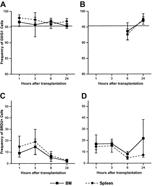Fig. 8. Cell cycle status and BrdU incorporation of donor Sca-1+ cells in BM and spleen at 1, 3, 6, and 24 hours following transplantation in irradiated or nonirradiated recipients. / Irradiated (A,C) or nonirradiated (B,D) mice received 17-90 × 106 LDBM cells, killed at the indicated time points, and donor Sca-1+ cells in BM and spleen analyzed for cell cycle status by PI (A-B) or BrdU incorporation (C-D) by flow cytometry as described in “Materials and methods.” Data are expressed as the mean ± SEM percent of Sca-1+ donor cells in G0/G1 phase of cell cycle (A-B) and the mean ± SEM percent of Sca-1+ BrdU+ donor cells (C-D) at different time points after transplantation. Horizontal lines on panels A and B represent the mean percent of Sca-1+ cells in the original graft in G0/G1. The low number of donor Sca-1+cells attainable from PB precluded cell cycle analyses of these cells. For each time point, n = 3-9 for panel A, n = 3 for panel B, n = 2-4 for panel C, and n = 3-4 for panel D.