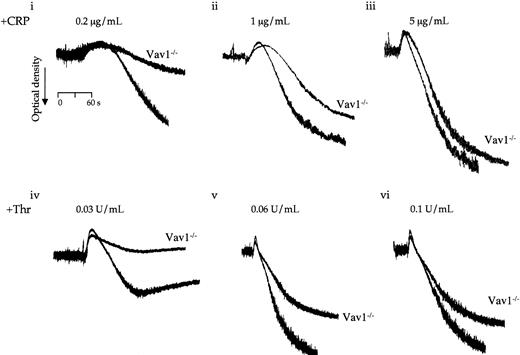 Fig. 4. Platelets from Vav1-deficient mice have an impaired aggregation response. / Platelets from wild-type and Vav1−/− mice were stimulated with the indicated concentrations of CRP (i-iii) or thrombin (iv-vi) in the absence of inhibitors of secondary mediators or EGTA. The change in optical density indicative of aggregation was monitored. One experiment representative of 3 is depicted.