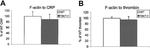 Fig. 7. F-actin polymerization is normal in Vav1-deficient platelets. / The F-actin content of basal platelets or platelets stimulated with CRP (10 μg/mL, 45 seconds) or thrombin (1 U/mL, 30 seconds) from wild-type and Vav1−/− mice were measured by FACS as described in “Materials and methods.” Data are presented as the increase in mean fluorescence over basal as a percentage of wild type, plus the standard error of the mean. One experiment representative of 3 is depicted.
