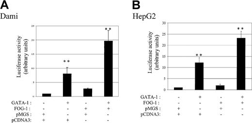 Fig. 4. Transactivation of the fur P1 promoter by GATA-1 and FOG-1. / (A) Dami cells were differentiated overnight with 100 nM PMA, or (B) HepG2 cells were transiently cotransfected with fur P1 promoter and either pMGS control vector or pMGS-GATA-1, in combination with pCDNA3 control vector or pCDNA3–FOG-1. Luciferase activity is expressed as fold-increase relative to the activity of P1 promoter cotransfected with pMGS control vector (value set at 1). Data are expressed as the mean ± SEM; n = 3. **P < .001, compared with P1 promoter activity.
