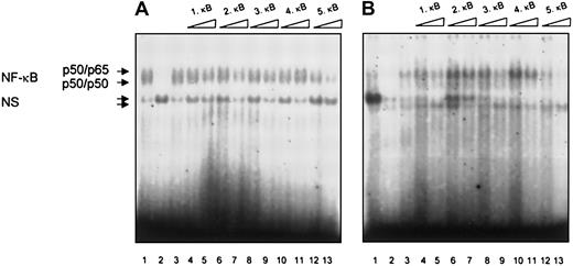 Fig. 6. Analysis of NF-. / κB/Rel binding to the putative NF-κB/Rel binding sites from the human TRAF1 promoter in B-CLL lymphocytes. Electrophoretic mobility shift assays were performed with nuclear extracts from B cells of 2 patients with B-CLL and the labeled H2TF1 binding site as a probe. Constitutive NF-κB/Rel binding is shown in both patients (lane 1) and was competed by a 20-fold excess of the unlabeled H2TF1 oligonucleotide (lane 2) but not by a 20-fold excess of an unlabeled Oct-1 oligonucleotide (lane 3). Unlabeled double-stranded oligonucleotides spanning the putative NF-κB/Rel binding sites 1-5 of the human TRAF1 promoter region were used as competitors at a 20-fold (lanes 4, 6, 8, 10, 12) or a 100-fold (lanes 5, 7, 9, 11, 13) molar excess. The specific NF-κB/Rel binding complexes consisting of a slower migrating p50/p655 heterodimer and a faster migrating p50 homodimer are indicated by arrows. NS corresponds to nonspecific binding.