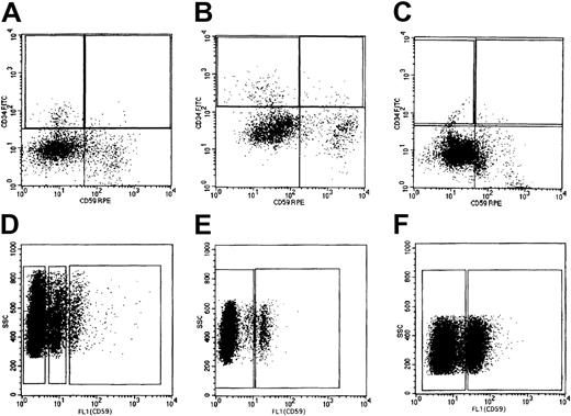 Fig. 1. Isolation with a fluorescence-activated cell sorter of each population expressing CD59 among CD34+ cells and granulocytes. / Bone marrow MNCs were stained with monoclonal antibodies to CD59, CD34, and CD45, divided into CD34+CD59− and CD34+CD59+ populations according to the gates shown by rectangles in panels A to C (A, case 1; B, case 2; C, case 3), and sorted. Vertical and horizontal axes are the fluorescence intensities of CD34 and CD59, respectively. Peripheral blood granulocytes were stained with a monoclonal antibody to CD59, divided into CD59− CD59+/−, and CD59+populations according to the gates shown by rectangles in panels D to F (D, case 1; E, case 2; F, case 3), and sorted. Vertical and horizontal axes are the side scatter and fluorescence intensity of CD59, respectively.