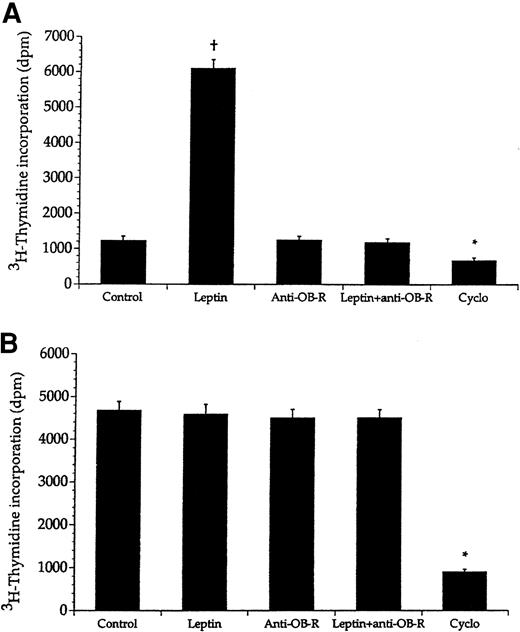 Fig. 4. Leptin promotes in vitro growth of bone marrow cells from healthy BN rats, but not from leukemic rats. / Bone marrow cells from healthy BN rats (A) and leukemic rats (B) were given either leptin (10 ng/mL), anti–OB-R (10 μg/mL), a combination of leptin (10 ng/mL) and anti–OB-R (10 μg/mL), or cyclophosphamide (Cyclo; 30 μg/mL). Values represent means + SEM; n = 8. The asterisk denotes significantly lower values compared with the control cells (no compound added), whereas the plus sign denotes a significantly higher value.