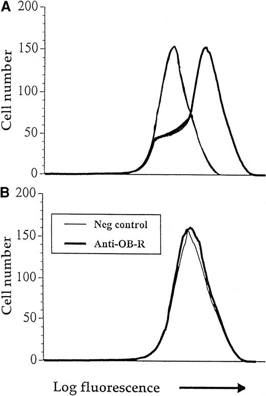 Fig. 5. Anti-OB-R binds to normal mononuclear cells, but not to leukemic cells. / Bone marrow cells from healthy BN rats (A) and leukemic rats (B) were incubated with anti–OB-R linked to a secondary fluorescent antibody before analysis with flow cytometry. An irrelevant antibody was used as a negative control. Data are from one experiment and representative of 7 other experiments.