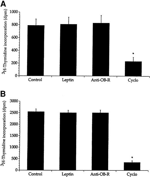 Fig. 7. No effect of leptin on in vitro growth of bone marrow cells from healthy and leukemic fa/fa rats. / Bone marrow cells from healthy fa/fa rats (A) and leukemicfa/fa rats (B) were injected with either leptin (10 ng/mL), anti–OB-R (10 μg/mL), or cyclophosphamide (Cyclo; 30 μg/mL). The asterisk denotes significantly lower values compared with control cells (no compound added). Values represent means + SEM; n = 8.