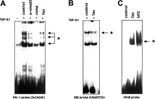 Fig. 4. Tax impairs TGF-β1–stimulated Smad3 DNA binding activity. / (A) An EMSA was performed by using a 32P-labeled probe derived from the PAI-1 promoter containing 3 CAGAC sequences and 10 μg of nuclear extracts from HepG2 cells transfected, with the Tax (Tax) or an empty expression vector (control), and induced (+) or not (−) for 30 minutes by TGF-β1. TGF-β1–induced complexes are indicated by arrows. Fifty molar excess of non–radio-labeled CAGAC sequence was added as competitor in 50 × molar excess (comp). Specific anti-Smad3 antibody (α-Smad3) was incubated before mixing with the CAGA probe. * indicates Smad3/4 complex. (B) HepG2 nuclear extracts used in (A) were mixed with a synthetic and palindromic CAGATCTG sequence. * indicates Smad3/4 complex. (C) A specific NF-κB probe derived from the IL-8 promoter was used with nuclear extract from MT2 cell line (MT2) or HepG2 cells transfected with a Tax expression vector (Tax) or an empty vector (control). ★ indicates NF-κB.