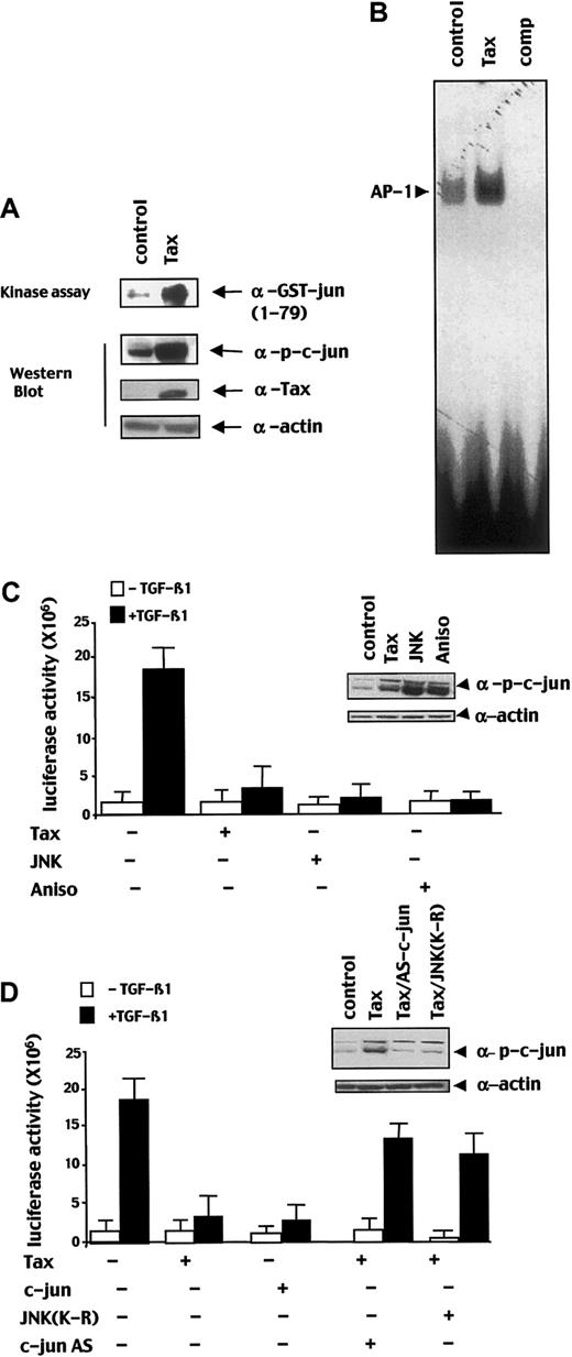 Fig. 6. Tax induces JNK activity and subsequent phosphorylation of c-Jun. / (A) Total lysate of HepG2 cells transfected with a Tax expression vector (Tax) or an empty expression vector (control) was subjected to JNK kinase assay by using the GST-c-Jun1-79 and to an immunoblot analysis probed with an anti–p-c-Jun, an anti-Tax, or an anti–α-actin antibody. (B) Nuclear extract from Tax expression vector (Tax) or an empty expression vector (control) transfected HepG2 cells were used for EMSA with an AP-1–specific probe, 50 M excess of non–radio-labeled AP-1 probe was added as competitor in 50 × molar excess (comp). (C,D) HepG2 cells were cotransfected with the (CAGA)12-Luc reporter construct (2 μg) and the indicated combinations of Tax (5 μg) and/or c-Jun (5 μg), JNK (5 μg), dominant-negative JNK (JNK-(K-R); 5 μg), antisense c-Jun (c-Jun AS; 5 μg) expression vectors and were treated with or without TGF-β1. In the indicated condition, anisomycin (Aniso) was added 24 hours after transfection for 30 minutes before lysis. Error bars represent the variability of one of the experiments performed 3 times in duplicates. For each condition, a part of the lysate was subjected to immunoblot with a p-c-Jun antibody to assess the level of p-c-Jun.
