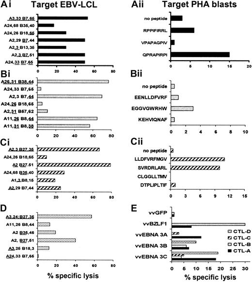 Fig. 3. Characterization of EBV specificity of CTL lines expanded from 4 patients with CAEBV. / The EBV specificity of the T-cell lines generated from patients with persistent active EBV infection syndrome was determined by testing the cytotoxic activity of CTLs against a panel of LCL lines, EBV peptide-loaded autologous PHA blasts, or vaccinia virus–infected matched fibroblasts. Data from 20:1 E/T ratios are presented. Panels Ai, Bi, Ci, and D show the CTL recognition of autologous, HLA antigen–partially matched and HLA antigen–mismatched LCLs of 4 representative CTL lines. The CTL presented in panel Ai kills preferentially through B7, whereas intermediate cytotoxicity is directed against LCLs matched for A3 or B65. The CTL presented in panel Bi kills preferentially through B38 and B44, since no significant cytotoxic activity is presented against LCLs matched only for A31 or A26. Panel Ci shows that the T-cell line is prevalently B27-restricted, though A2-, A3-, and B35-restricted killing also occurs. CTLs presented in panel D also kill through B27. Once the HLA antigen restriction was established, the peptide epitope specificity was investigated on autologous or matched PHA blasts loaded with the peptides predicted from the literature (panels Aii, Bii, and C).3549 The HLA antigen class I restriction and antigen location for the peptide epitopes used in the CTL assay are as follows: RPPIFIRRL (B7 EBNA 3A, coordinate 379-387), VPAPAGPIV (B7 EBNA 3C, coordinate 502-510), QPRAPIRPI (B7 EBNA 3A, coordinate 881-889), EENLLDFVRF (B44 EBNA 3C, coordinate 281-290), EGGVGWRHW (B44 EBNA 3C, coordinate 163-171), KEHVIQNAF (B44 EBNA 3C, coordinate 335-343), LLDFVRFMGV (A2 EBNA 3C, coordinate 284-293), SVRDRLARL (A2 EBNA 3A, coordinate 596-604), CLGGLLTMV (A2 LMP2a, coordinate 426-434), DTPLIPLTIF (A2 EBNA 2, coordinate 42-51). In panel E, these 4 lines (CTL line A, closed bar; CTL line B, gray; CTL line C, striped bar; CTL line D, dotted bar) were tested against HLA antigen–matched dermal fibroblasts infected with vaccinia virus recombinants expressing the EBNA 3A, B, and C genes or the lytic BZLF1 gene or GFP gene, as control.