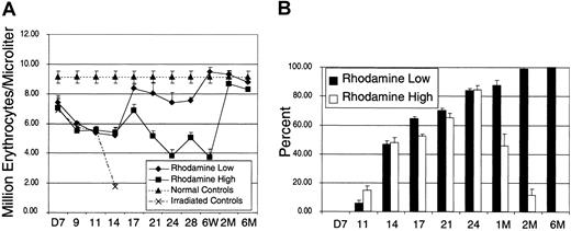 Fig. 2. Kinetics of erythrocyte recovery. / (A) Recipient animals were injected with 2000 Linneg c-kitpos Sca-1posThylow cells that were subfractionated based on staining with Rho-123. Normal controls are the average peripheral blood counts of 20 B6-Thy1.1-Ly5.1 animals. Irradiated controls consist of animals that received lethal irradiation and did not receive donor cells. (B) Densitometric analysis of donor-derived hemoglobin recovery. Data are mean ± SEM.