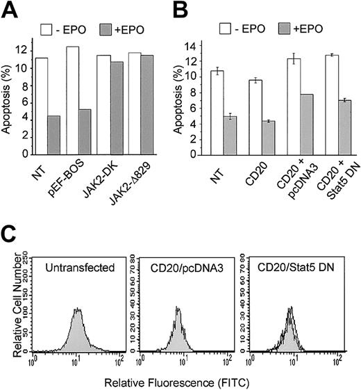 Fig. 4. DN-JAK2 but not DN-STAT5 inhibits EPO-mediated survival. / (A) DP16.1/p53ts cells were transfected with expression plasmids containing DN-JAK2: JAK2-DK encodes JAK2 with mutations in the kinase domain and JAK2Δ829 encodes JAK2 with a truncated kinase domain; pEF-BOS is the empty vector. After 12 hours at 32°C in the presence or absence of EPO, cultures were fixed and the proportion of cells undergoing apoptosis was measured by the TUNEL assay. The data presented are representative of 2 independent experiments. NT indicates cells that were not transfected. (B) DP16.1/p53ts cells were cotransfected with vectors expressing CD20 together with DN-STAT5 or empty vector (pcDNA3). Cells were cultured as described in the legend to Panel A, fixed, and stained for CD20 expression and for apoptosis with PE-conjugated annexin V, and analyzed by flow cytometry. The percentage of CD20+ cells undergoing apoptosis is presented as the means ± SEM (n = 3). (C) Untransfected DP16.1 cells (left panel), DP16.1 cells transfected with CD20 and empty pcDNA3 vector (middle panel), or DP16.1 cells transfected with CD20 and DN STAT5 (right panel) were treated with EPO for 15 minutes, fixed, and stained with phospho-specific antibodies against STAT5 (Tyr694). Cells expressing phosphorylated STAT5 were detected by flow cytometry using an anti–rabbit IgG conjugated to FITC. The histograms show the relative fluorescence for FITC of cells that were either left untreated (filled histogram) or treated with EPO (empty histogram) 24 hours after transfection.