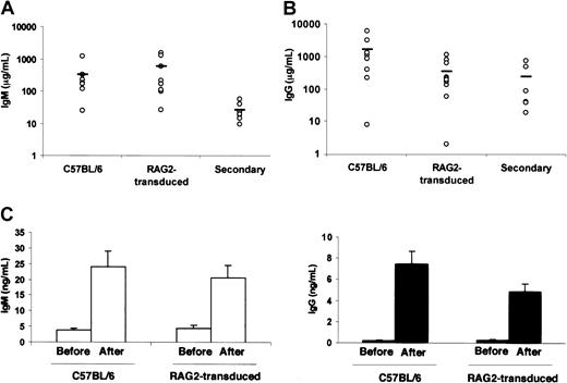 Fig. 7. B-cell function after gene transfer. / Serum immunoglobulin IgM (A) and IgG (B) were quantified in RAG-2–transduced mice, C57BL/6 mice, and mice after secondary transplantation. Each dot represents values obtained in one mouse. (C) KLH antigen-specific IgM (■) and IgG (▪) immunoglobulins were quantified in the serum of RAG-2–transduced mice and C57BL/6 mice before and after immunization. Values are the means ± SD of data from 3 mice obtained 28 days after immunization, 4 to 6 months after gene transfer.
