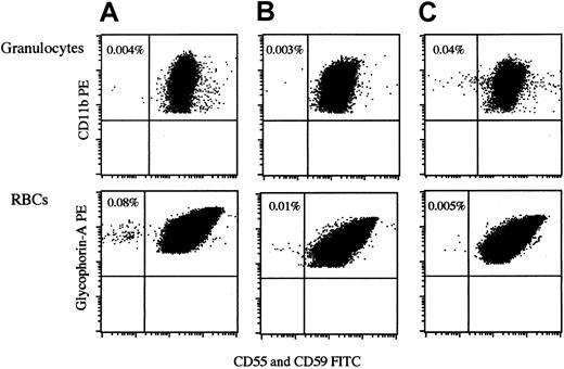 Fig. 2. Detection of PNH-type granulocytes and RBCs in peripheral blood of RA patients. / Histograms of 3 RA patients exhibiting less than 0.1% CD55−CD59− cells are shown. A indicates patient 7; B, patient 12; C, patient 16. Each number represents a percentage of PNH-type cells.