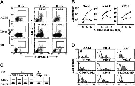 Fig. 2. CD19+ cells in the midgestation mouse embryo. / (A) Dot plots obtained after 2-color FACS analyses with biotinylated anti-B220 and anti-CD19 mAbs versus FITC anti–c-kit mAb in 11- to 12-dpc AGM-, liver-, and blood-derived cell suspensions. After Fc blocking and PI exclusion of dead cells, specific mAb signals were defined against those of isotype-matched, irrelevant mAbs. The windows shown include cells positive for established markers, and the numbers above the graphs are means ± SD of 5 independent FACS analyses/sample. (B) Absolute cell recoveries in 11- to 13-dpc AGM (▵) and FL (●). Total cells, AA4.1+, and CD19+ cells/organ are shown, the latter 2 obtained from their relative numbers in FACS analyses and absolute cell numbers/organ. n = 5-7 independent analyses; means ± SD are shown. (C) CD19 gene transcripts detected in the displayed lymphohematopoietic sites at 8 and 11 dpc. The data are presented as in Figure 1A. ST2 stromal cells were used as negative control. n = 4 independent samples. (D) Surface phenotype of 11-dpc CD19+liver cells. The 2-color FACS analyses were done with biotinylated anti-CD19 mAb versus the FITC mAbs specific for the shown receptors. White and shaded histograms represent negative and specific signals, respectively, obtained from gated CD19+cells.