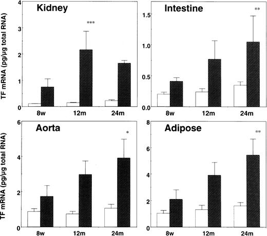 Fig. 2. Induction of TF mRNA by restraint stress in the tissues of young and aged mice. / The indicated tissues were removed from 8-week- (8w), 12-month- (12m), and 24-month-old (24m) C57BL/6J mice before (open bars) and after (hatched bars) 20 hours of restraint stress. Total tissue RNA was prepared and analyzed for TF mRNA expression level by quantitative RT-PCR. The data are represented as the means and SD (n = 8) in each age group, and the error bars represent interanimal variation. *P < .05 in 24m versus 8w mice; **P < .04 in 24m versus 8w mice; ***P < .02 in 12m versus 8w mice.