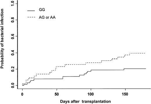 Fig. 1. Severe bacterial infection. / Cumulative incidence of severe bacterial infection after HLA-identical BMT according to bone marrow donor MPO genotype.