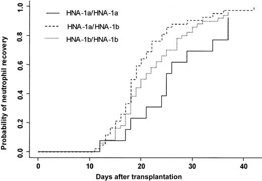 Fig. 2. Neutrophil recovery. / Cumulative incidence of neutrophil recovery after HLA-identical BMT according to bone marrow donor FcγIIIb genotype.
