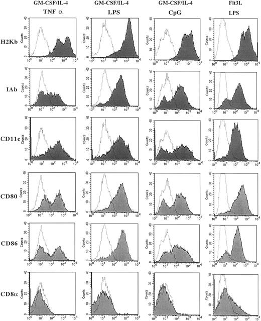 Fig. 1. Phenotypic characterization of DCs cultured in GM-CSF/IL-4 and matured using CpG, TNF-α, or LPS and DCs cultured with Flt3L and matured using LPS. / Cultured DCs were harvested and washed with 2% FBS/PBS, blocked with αFCR, and incubated with directly conjugated fluorescent antibody for 30 minutes. Live cells were gated by using forward and side scatter dot plots, and 10 000 live events were analyzed for each sample. Data are presented as solid histograms for the expression of the phenotypic marker noted on the left for each preparation method; GM-CSF/IL-4 matured with TNF-α, LPS, or CpG 2006 or Flt3L matured with LPS. The dotted histogram represents the background fluorescence of the isotype control. Data presented are representative of 3 independent experiments.