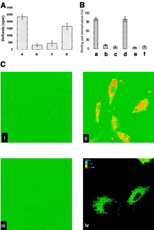 Fig. 6. Internalization of α-defensin by SMCs. / (A) Human umbilical vein SMCs were incubated for 1 hour at 4°C with 2 μM 125I-α-defensin. Washing of the cells terminated incubation. Bound 125I-defensin released immediately from the surface of SMCs (a) or after subsequent warming to 37°C for 30 minutes (b2). Internalized 125I-α-defensin at 4°C (c) or 37°C (d). (B) The role of LRP in binding and internalization of α-defensin by SMCs. Experiments were performed as in panel A. Binding (a,b,c) and internalization (d,e,f) of125I-defensin were determined at 37°C in the absence of additives (a,d) or in the presence of 20 nM anti-LRP antibody (b,e) or 20 nM rRAP (c,f). (C) Confocal fluorescence images of defensin binding and internalization by SMCs. Alexo 488–labeled antigens are depicted in red, and DIC images are shown in green. (i) SMCs incubated with antidefensin IgG (rabbit), followed by labeled goat antirabbit IgG, in the absence of α-defensin. (ii) SMCs incubated with 1 μM α-defensin for 30 minutes and later treated as in panel i. (iii) Cells preincubated for 10 minutes with anti-LRP antibodies (20 nM) before addition of 1 μM α-defensin and later treated as in panel B. (iv) Image reconstruction of 16 single sections presented in the color-coding scale. The upper section is shown in red, and the bottom section is shown in blue. Original magnification × 400.