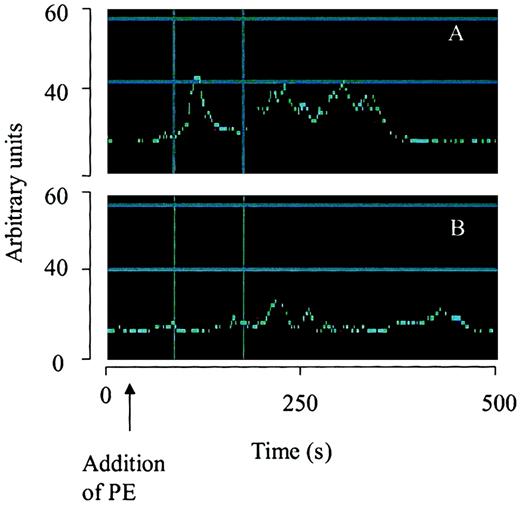 Fig. 8. Effect of α-defensin on temporal changes of intracellular Ca++. / The change of fluorescence over time from selected areas containing the same number of cells is illustrated using arbitrary units. Cells were treated with PE (100 nM) alone (A) or 100 nM PE with 2 μM α-defensin (B).