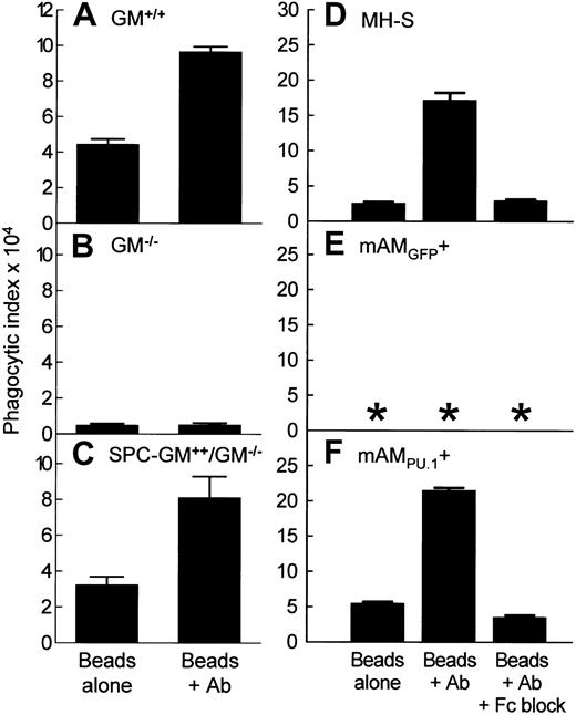 Fig. 1. FcγR-mediated phagocytosis by alveolar macrophages (AMs) is regulated by GM-CSF in the lungs and expression of PU.1 in AMs. / (A-C) Primary AMs were recovered by BAL from mice in which GM-CSF expression was normal (GM+/+), absent (GM−/−), or present only in the lungs (SPC-GM+/+/GM−/−) and challenged with unopsonized beads (Beads alone) or IgG-opsonized beads (Beads + Ab) as described in “Materials and methods.” Phagocytic indices are shown. Data represent means ± SEM; n = 4 (GM−/−and SPC-GM+/+/GM−/−) or n = 3 (GM−/−) mice per group; AMs from each mouse were analyzed individually. Differences in phagocytic indices for FcγR-mediated and non-FcγR–mediated phagocytosis (Beads + Ab, Beads alone, respectively) by AMs from GM+/+ and SPC-GM+/+/GM−/− were significant (P < .01). Corresponding phagocytic indices for AMs from GM−/− mice were not significantly different (P = .86). (D-F) Cultured AM cell lines were challenged as above except that plates of cells were also challenged in the presence of FcγR-blocking antibody (Beads + Ab +Fc block). Phagocytic indices are shown. Data represent means ± SEM; n = 4 determinations per group. Differences in phagocytic indices for FcγR-mediated and non-FcγR–mediated phagocytosis (Beads + Ab, Beads alone, respectively) in MH-S and mAMPU.1+ cells were significant (P < .0001). FcγR-mediated phagocytosis was completely blocked by addition of anti-FcγR antibody. Phagocytosis was not detected in mAMGFP+ cells (*).