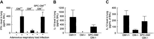 Fig. 3. The increase in IFN-γ, IL-18, and IL-12 levels in the lungs stimulated by pulmonary adenovirus infection is severely impaired in GM−/− mice. / (A) BAL fluid was collected from GM+/+, GM−/−, and SPC-GM+/+/GM−/− mice 36 hours after pulmonary adenovirus infection and evaluated for the presence of IFN-γ by ELISA. Asterisks indicate that no IFN-γ was detected in the lungs of any mice in the absence of adenovirus lung infection. Data represent means ± SEM; n = 4 (GM−/− or SPC-GM+/+/GM−/−) or n = 3 (GM+/+) mice per group; BAL fluid from each mouse was analyzed individually. Differences in IFN-γ levels in infected (+) and uninfected (−) GM+/+ and SPC-GM+/+/GM−/− mice were significant (P < .02) but were not significant in GM−/−mice (P = .10). (B) Mice exposed to adenovirus as above were also evaluated for the presence of IL-18 in BAL. IL-18 levels in BAL fluid of infected animals are shown. Data represent the means ± SEM; n = 6 (GM−/− or SPC-GM+/+/GM−/−) or n = 3 (GM+/+) mice per group; BAL fluid from each mouse was analyzed individually. IL-18 was not detected in BAL fluid from adenovirus-exposed GM−/− mice (*). Differences in IL-18 levels in GM+/+ and GM−/− mice were significant (P < .05). The adenovirus-simulated increase in IL-18 levels in the lungs was restored in SPC-GM+/+/GM−/− mice. (C) The same animals evaluated in panel A were also evaluated for the presence of IL-12 in BAL. IL-12 levels in BAL fluid of infected animals are shown. Data represent the means ± SEM; n = 7 mice per group. Differences in IL-12 levels in GM+/+ and GM−/− mice were significant (P < .05). The adenovirus-simulated increase in IL-18 levels in the lungs was restored in SPC-GM+/+/GM−/− mice.