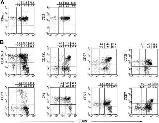Fig. 3. Analysis of surface antigen expression on CD8α+ αβ T cells. / TCRγδ− CD16− PBMNCs were stained with CD8β, CD8α, and TCRαβ or CD3 (A), or other various surface antigens as indicated (B). CD8α gated cells are displayed.