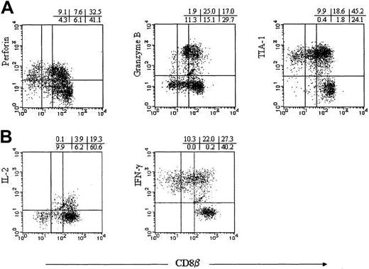 Fig. 4. Cytotoxic granule constituents and cytokine production. / (A) TCRγδ− CD16− PBMNCs were stained with anti-CD8β mAbs recognized by FITC-conjugated goat-antimouse antibodies, RPE-Cy5–conjugated anti-CD8α, and PE-conjugated antiperforin, antigranzyme B, or anti–TIA-1 mAbs. (B) After the stimulation with PMA and A23187 in the presence of monensin, TCRγδ−CD16− PBMNCs were stained with PE-conjugated anti-CD8β, RPE-Cy5–conjugated anti-CD8α, and FITC-conjugated anti–IL-2 or anti–IFN-γ mAbs. CD8α gated cells are displayed.