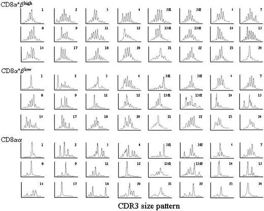 Fig. 5. Spectratypes of the T-cell repertoire within CD8α+βhigh, CD8α+βlow, and CD8αα αβ T cells. / Histograms of the relative sizes of the PCR-amplified CDR3 region within CD8α+βhigh, CD8α+βlow, and CD8αα αβ T cells in one donor are shown. The y-axis is relative quantity of RNA bearing the specific TCR Vβ. The x-axis represents the nucleotide length of the PCR-amplified TCR gene products.