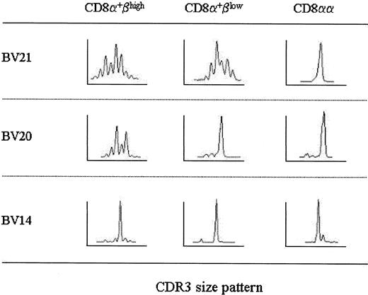 Fig. 7. Spectratypes of TCR BV21, BV20, and BV14. / Spectratyping analysis of αβ T cells within CD8α+βhigh, CD8α+βlow, and CD8αα subpopulations was pursued in another healthy donor. Histograms of BV21, BV20, and BV14 are displayed as Figure 5.